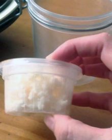 como congelar y conservar los granulos de kefir de manera segura